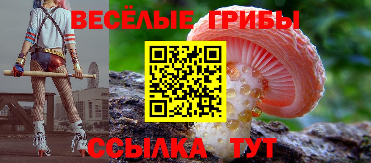 Галлюциногенные грибы Magic Shrooms  где купить   Красноармейск  Вход с VPN 