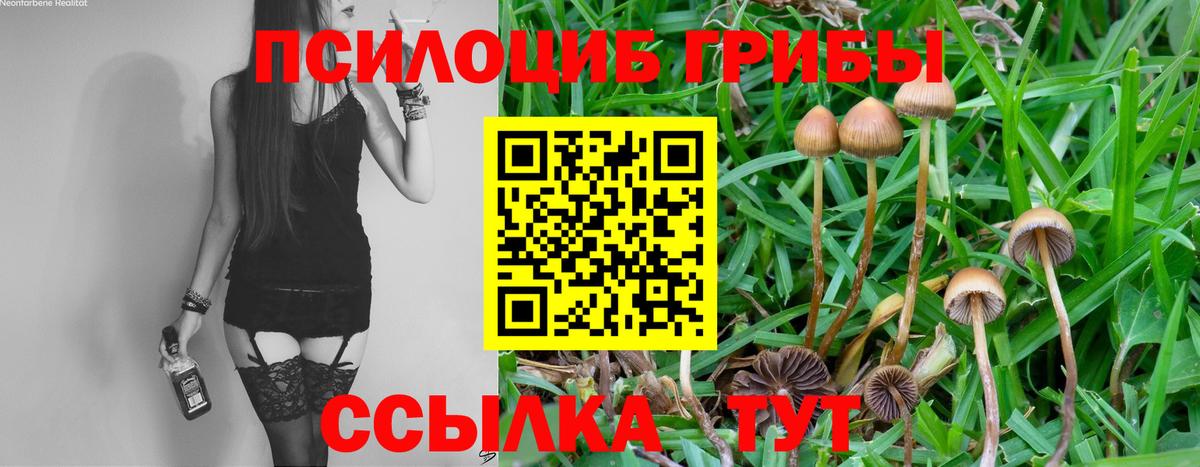 Галлюциногенные грибы MAGIC MUSHROOMS Красноармейск
